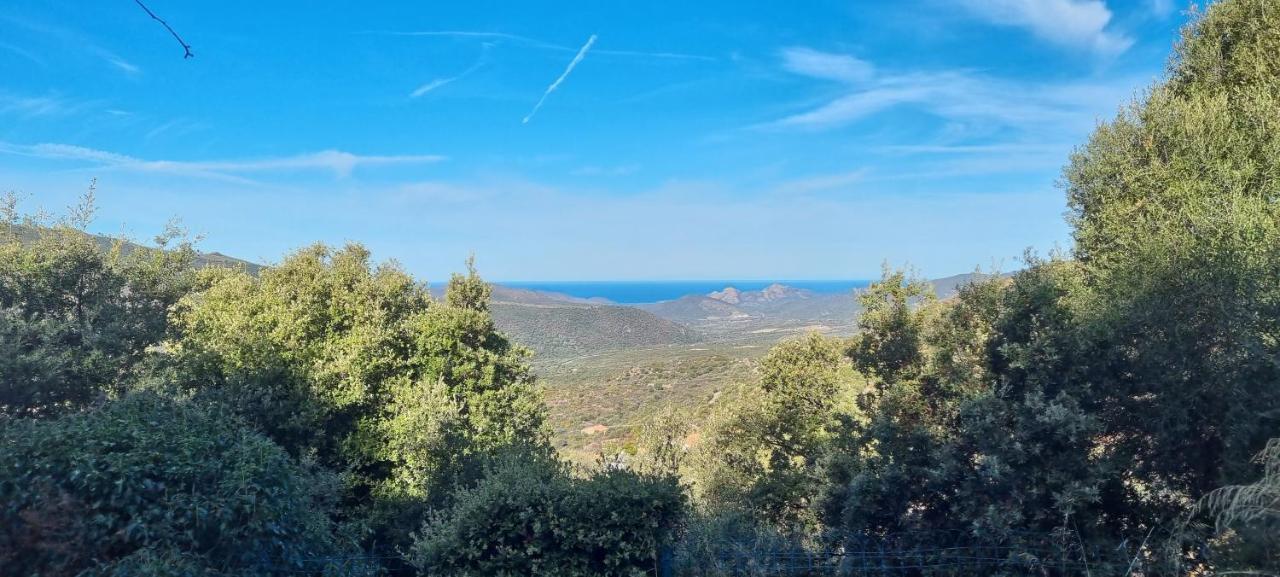Vos A France Corse