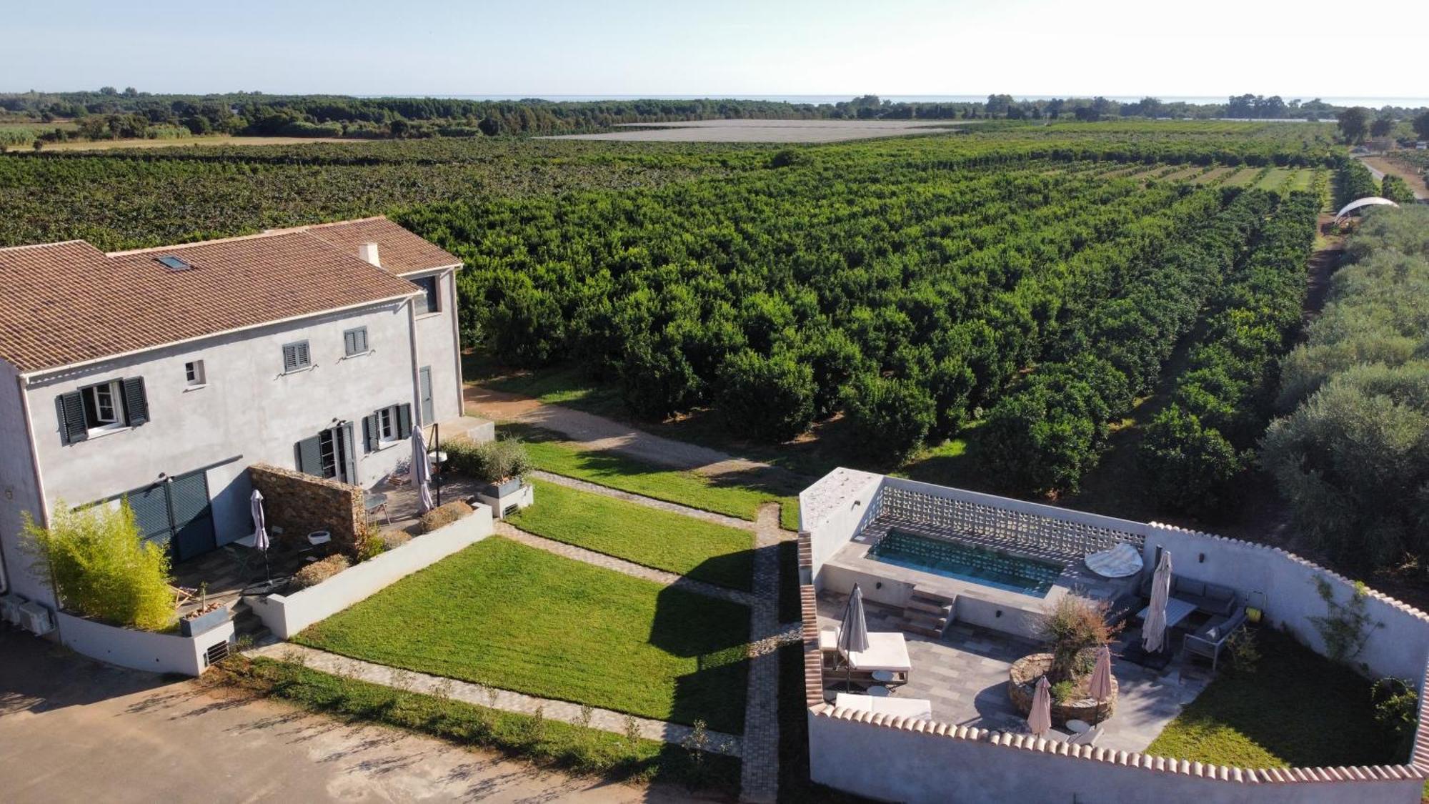 Apartment L Arancera - Sant Anghjulu - Familial Penta di Casinca