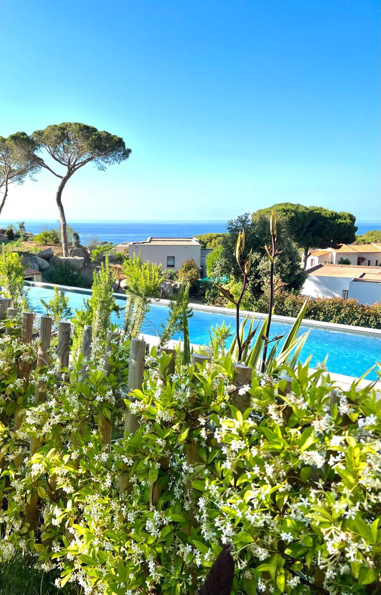 Avec Jardin Et Piscine Villa Calvi (Corsica)