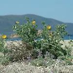 Appartement Villa Vue Mer Calcatoggio - Tiuccia