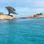 Charmante Maison A Lecci Avec Vue Sur Montagne Et Piscine Partagee