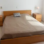 Arbitru