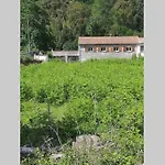 Maison F4 Bord De Riviere Dans Un Hameau Du Village De Pruno En Haute Corse Dix Min De La Plage A Folelli