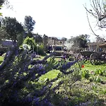 L'Attelu Avec Piscine Au Coeur Du Maquis