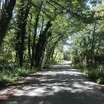 Les jardins de la mer a côté mer