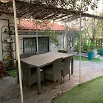 Appartement Avec Jardin En Centre Ville