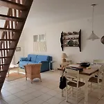 Palmeraie 133