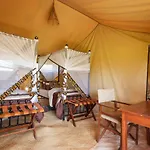 Gnu Ndutu Camp