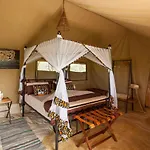 Gnu Ndutu Camp