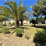 Appartement Charmant A Lecci + Piscine Partagee