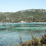 Casonu