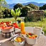 Tradition Corse Et Modernite A Cantina