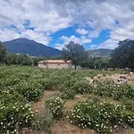 Domaine U Filanciu - Maison Chiara Avec Piscine - Centre Corse