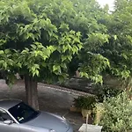 Dolce Notte, L'Ideal Pour Des Vacances A Bastia - Appartement Avec Vue Panoramique Et Piscine Sur Les Hauteurs