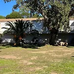 Bel Appartement T3 Cala Rossa Proche Mer
