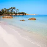 Grand Studio Rte Des Sanguinaires Superbe Vue Mer