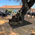 L'Alivu Di Porto Vecchio***