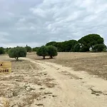 Casa Lamaghjone - Villa T4 Avec Piscine Chauffee A 3,5Km De La Mer