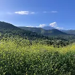 Bella Vista