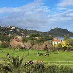 Lavallee4