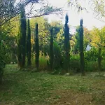 Casa Orsoni