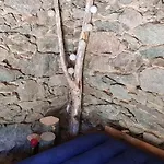 A Stella, Une Cabane De Berger Pour Une Experience Insolite
