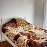 Le Vannina