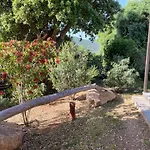 Les Bergeries De Pinarello, Capellina