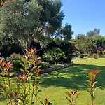 Le Jardin De Domi