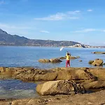 Autour Du Hamac Le Galet De La Riviere