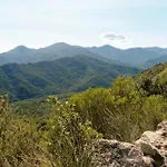 Cocon Aux Senteurs De Corse Et Vue Exceptionnelle