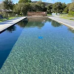 Appartement T2 Pieds Dans L'Eau Santa Giulia