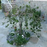 Les Espaces De Furiani