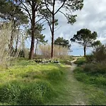 A Casa Di L'Alivu