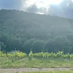 Charmant T2 A La Campagne