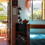 Appartement Elegant A Grosseto Prugna De 46 M² Avec Piscine Partagee