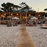 T2 Neuf Bord De Plage - Terrasse - Calvi