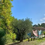 Maison Au Calme Piscine Mer Au Coeur De La Nature U Nuciolu