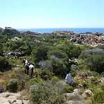 Charmante Maison De Vacances A Olmeto Avec Piscine