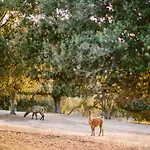 Domaine Naturiste De Riva Bella