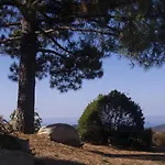 A Machja 16
