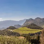 Fiore Di Vita