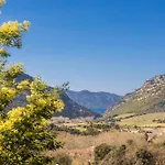 Fiore Di Vita