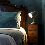 L'Alma Viva