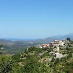 Cicendolle