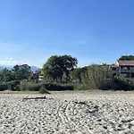 Les Bulles De Mona Marina Corsa