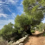 Solacargese