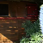 Le Nid Des Crinieres Vagabondes