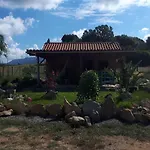 Le Nid Des Crinieres Vagabondes