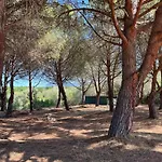 Saint Florent - Studio 2 Pers Residence Piscine Flo 18